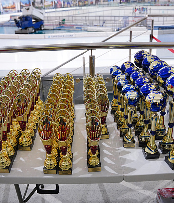 Открытое первенство ГУ "ГЦОР по ледовым дисциплинам" памяти ЗМС Игоря Железовского