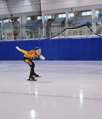 Открытое первенство ГУ "ГЦОР по ледовым дисциплинам" памяти ЗМС Игоря Железовского