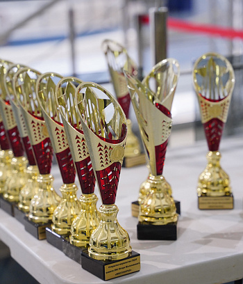 Открытое первенство ГУ "ГЦОР по ледовым дисциплинам" памяти ЗМС Игоря Железовского