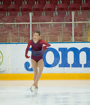 Первенство РБ "Звёздочка" 1 этап и открытое Первенство ГУ "ГЦОР по ледовым дисциплинам" 2,3 день